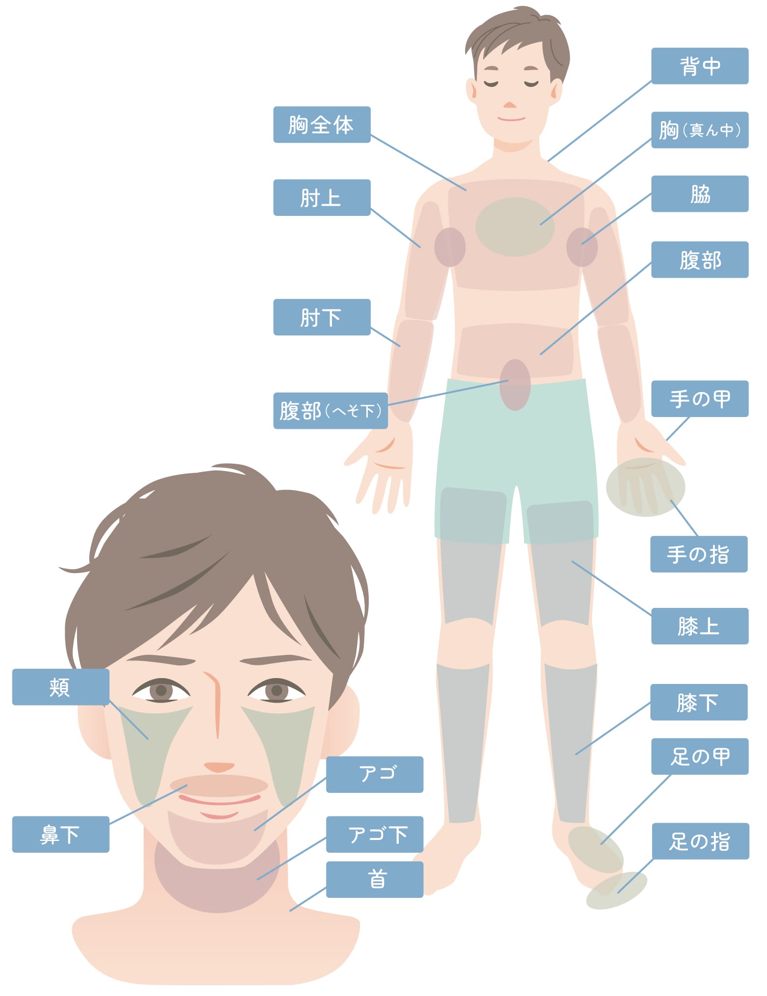脱毛部位説明